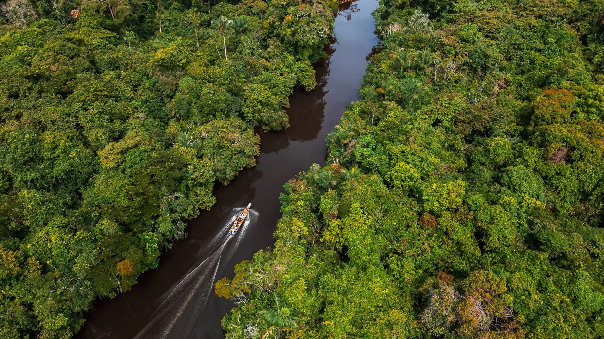 Descarbonização do transporte na Amazônia na COP30: países da região lançam aliança inédita para integrar logística verde e impulsionar a bioeconomia Inédito: países se unem para descarbonizar transporte na Amazônia