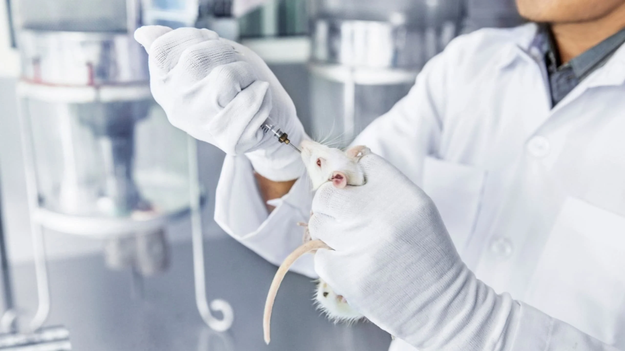 IA e tecidos bioimpressos em 3D: Reino Unido traça plano para substituir testes em animais até 2030 com órgãos em chip e análise de dados IA e tecidos bioimpressos podem substituir animais na medicina