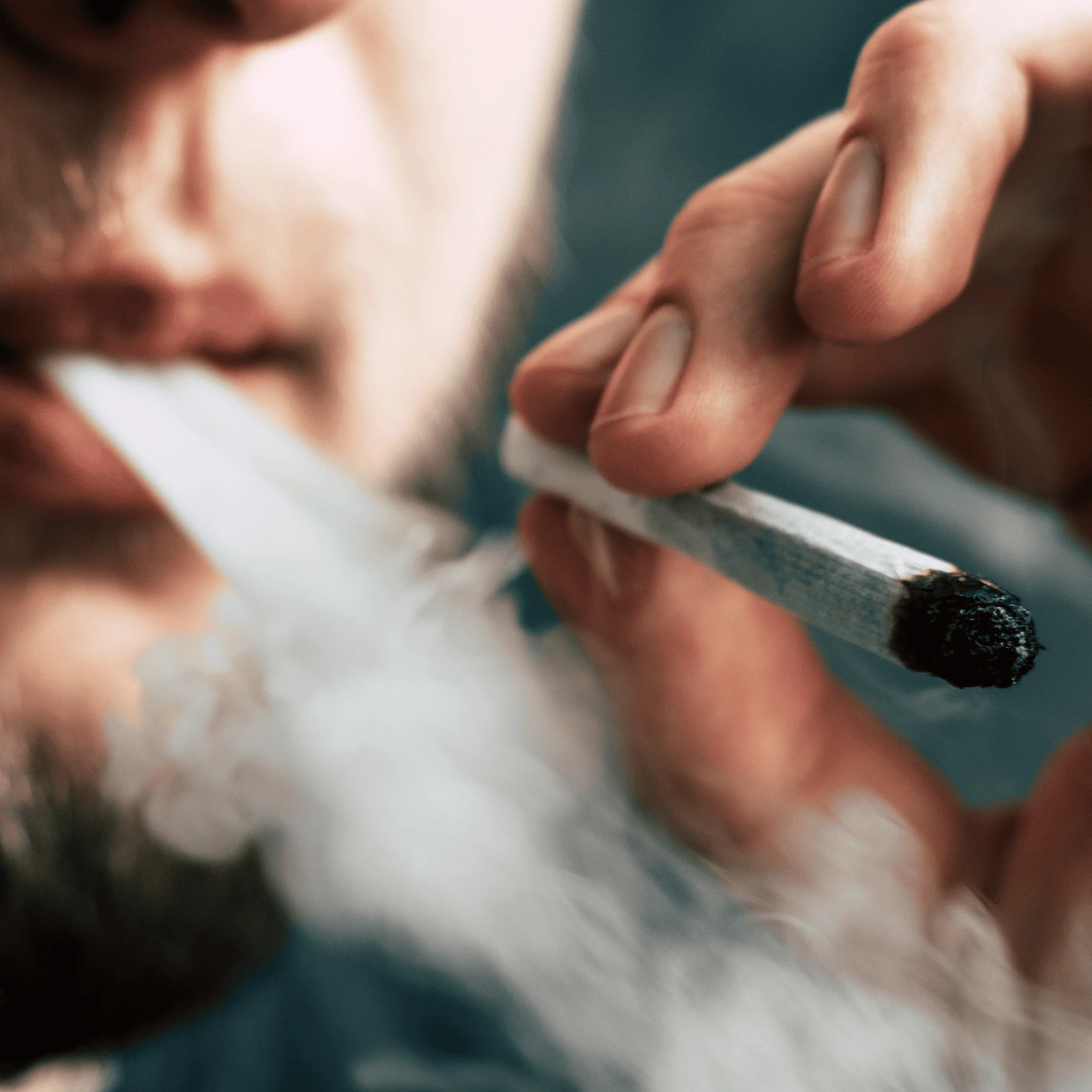 Maconha vicia? Efeitos da Cannabis no cérebro, dependência, riscos e sinais de alerta segundo a ciência Maconha vicia? O que a ciência sabe sobre os efeitos da Cannabis no cérebro