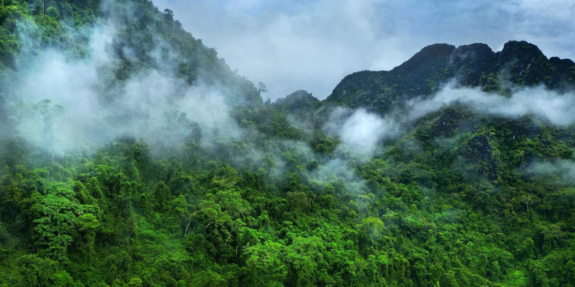 Cidade Perdida da Amazônia no Vale do Upano: vestígios de uma civilização avançada e misteriosa no Equador ganham destaque no Discover Cidade Perdida da Amazônia: a civilização que viveu escondida na floresta
