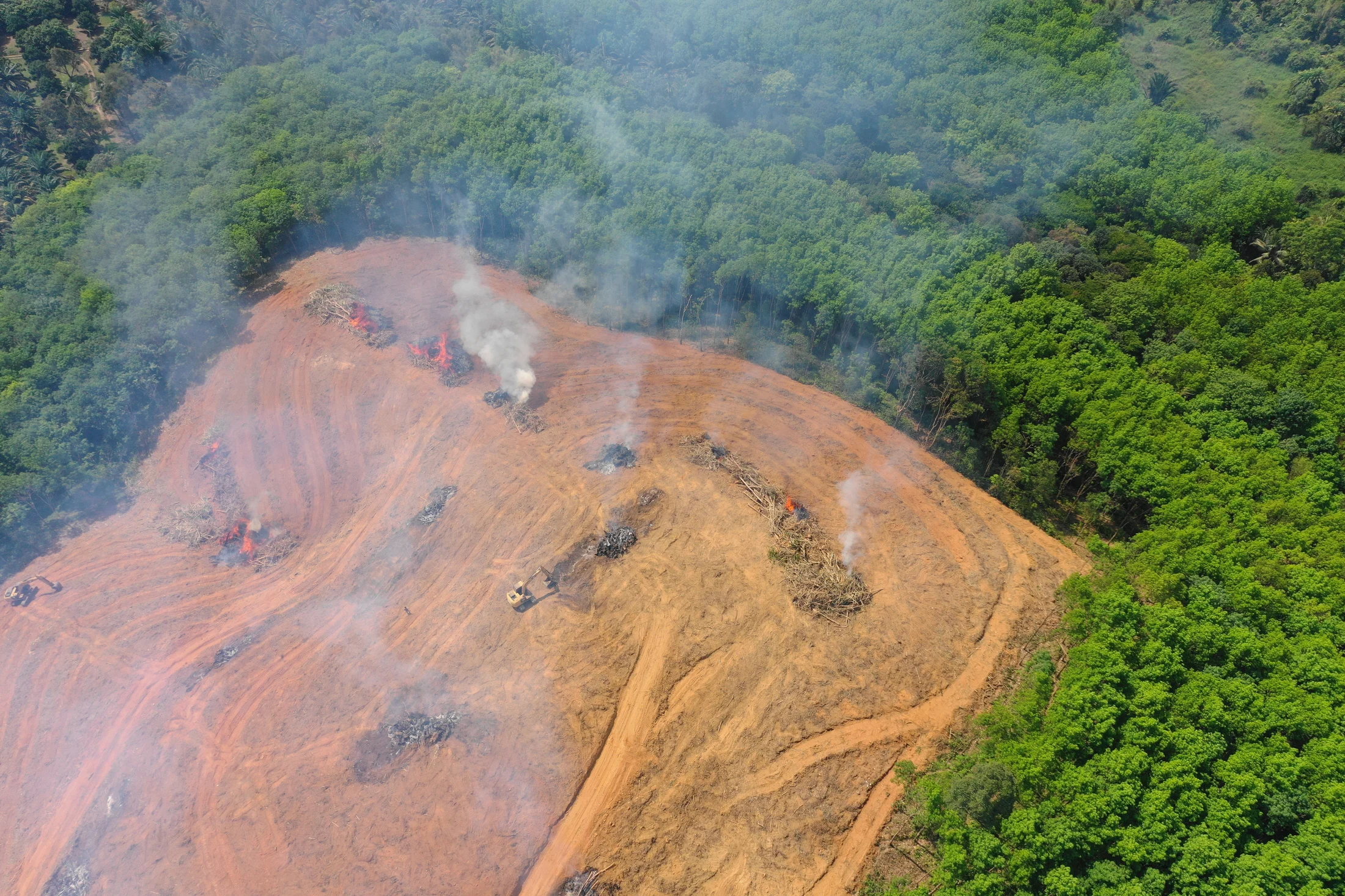 Crise ambiental na Amazônia em plena COP30: seca histórica, 74% da queda de chuvas ligada ao desmatamento e alerta de ponto de não retorno Amazônia vive crise ambiental grave em plena COP30