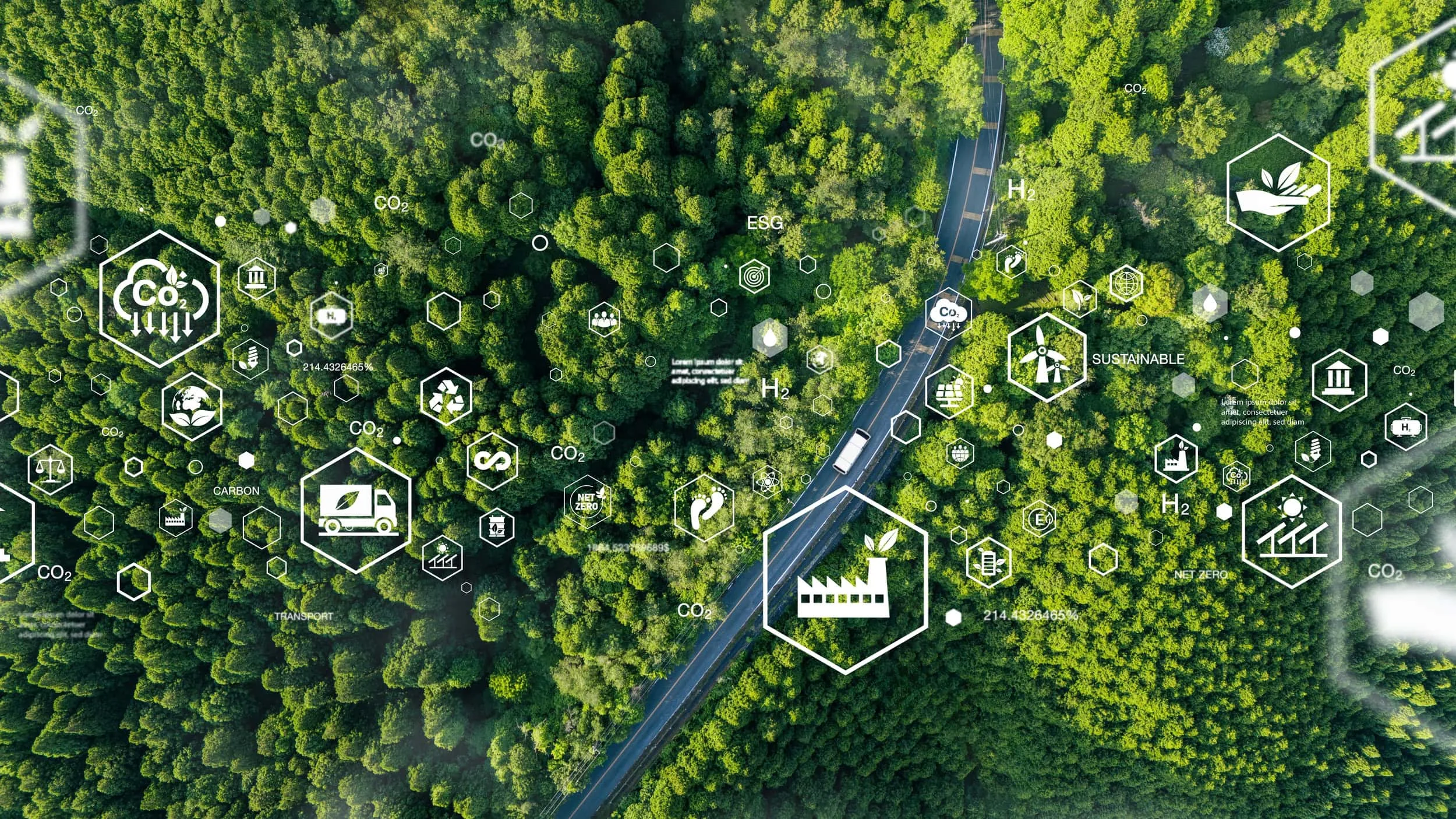 Como o Brasil poderia liderar economia verde, segundo estudo apresentado na COP30