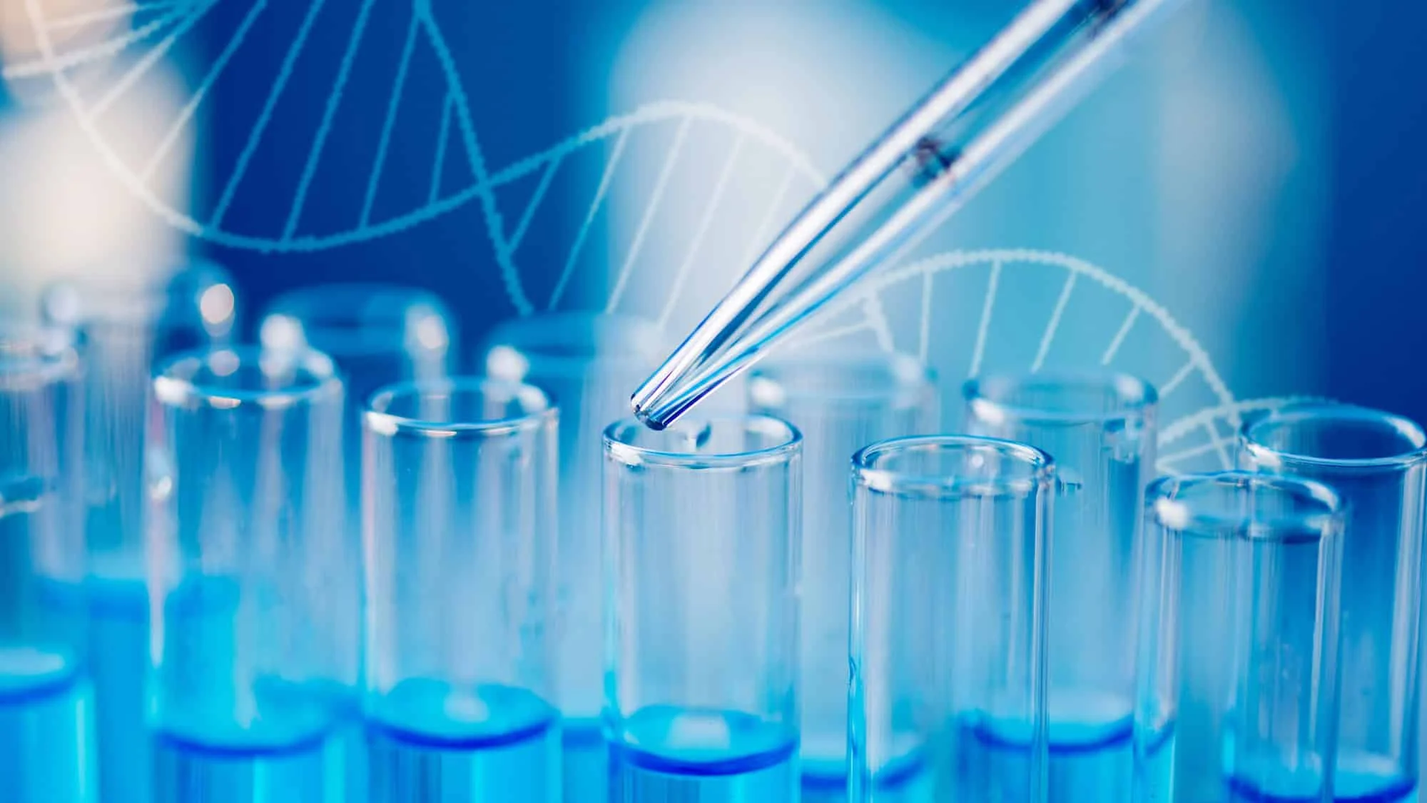 Vacina oral probiótica contra o câncer com nanopartículas de ferritina ativa defesa duradoura em melanoma, aponta Nature Communications Nova vacina oral probiótica estimula sistema imune contra o câncer