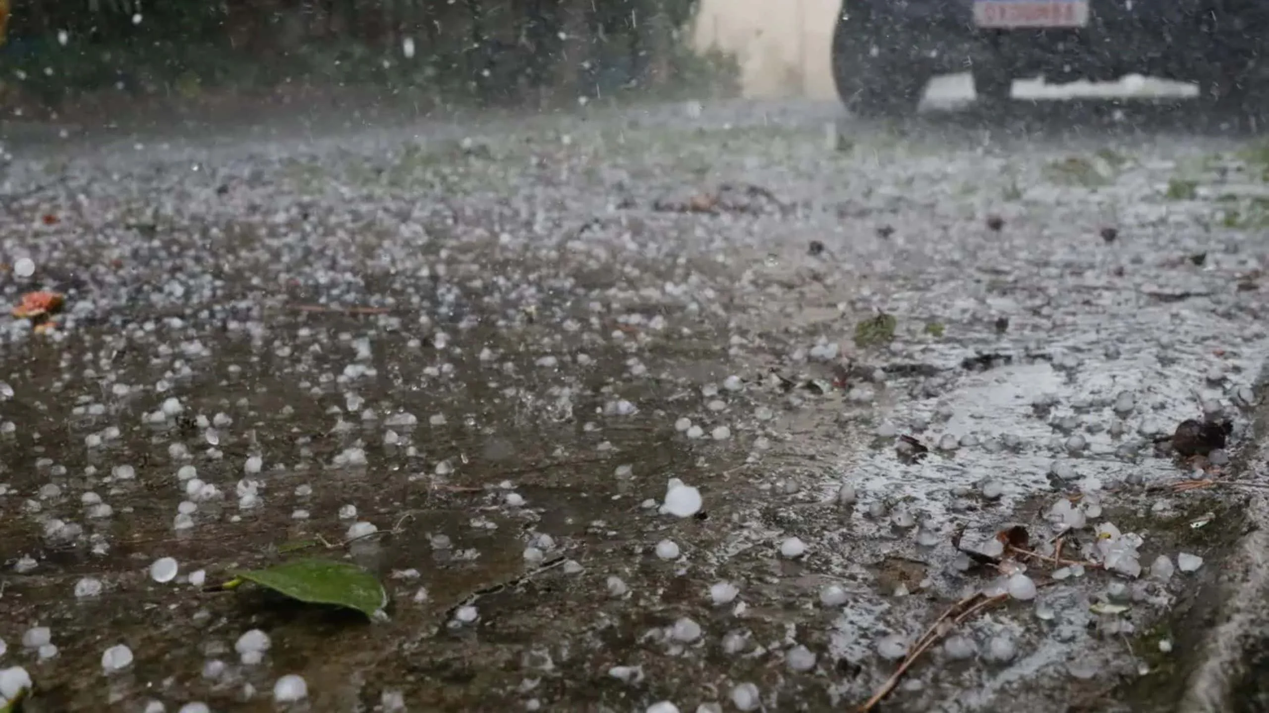 Chuva e granizo em São Paulo: Defesa Civil emite alerta de temporais para Vale do Paraíba, Litoral Norte, Baixada Santista e Grande SP até terça-feira Chuva e granizo: Defesa Civil coloca o estado de São Paulo sob alerta; veja a previsão