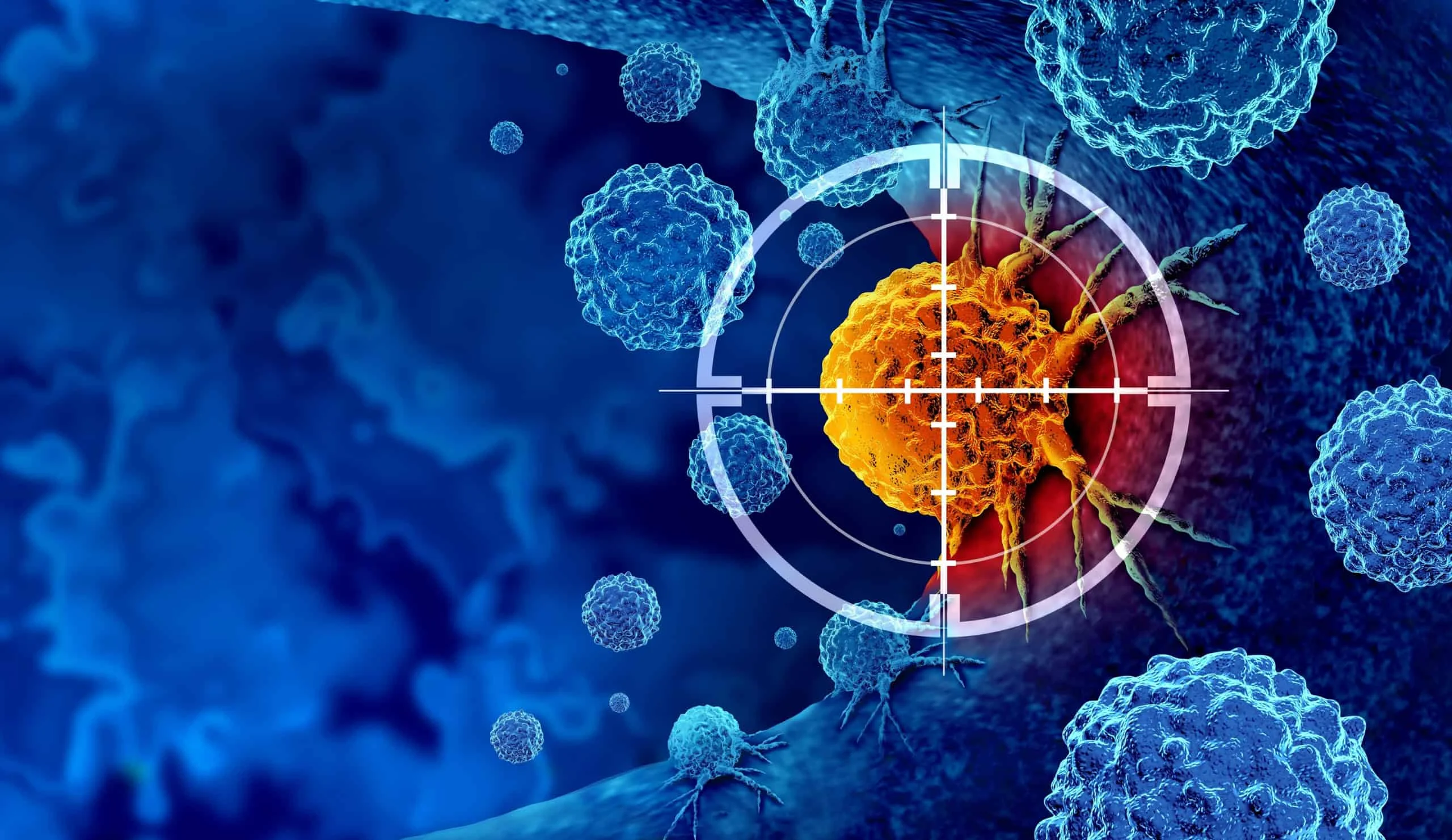 Reativar células T exaustas: bloqueio de CD47–TSP‑1 impulsiona imunoterapia e freia tumores em estudo da Weill Cornell publicado na Nature Immunology Pesquisadores descobrem como reativar células de defesa exaustas e reforçar combate ao câncer