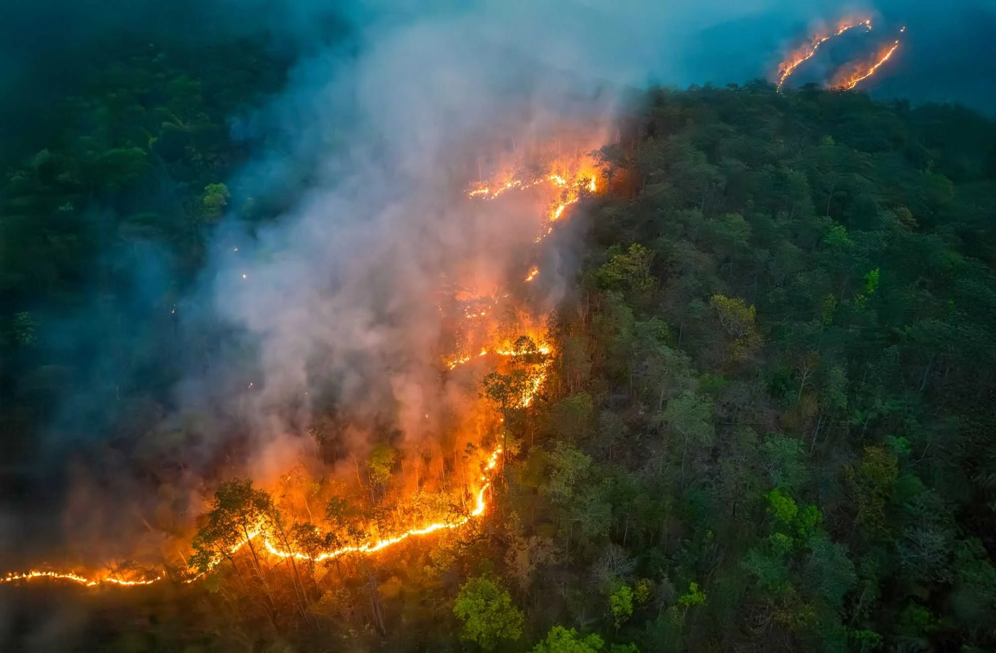 Incêndios em unidades de conservação caem ao segundo menor nível da história em 2025, apesar da seca e com monitoramento recorde Incêndios em unidades de conservação caem ao segundo menor nível da história