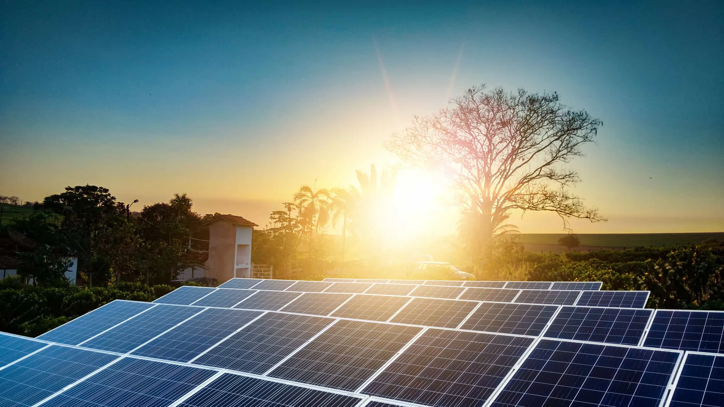 Financiamento climático no Brasil cresce para US$ 67,8 bilhões com boom da energia solar, florestas ficam com apenas 1% Financiamento climático foca em energia e deixa floresta de lado