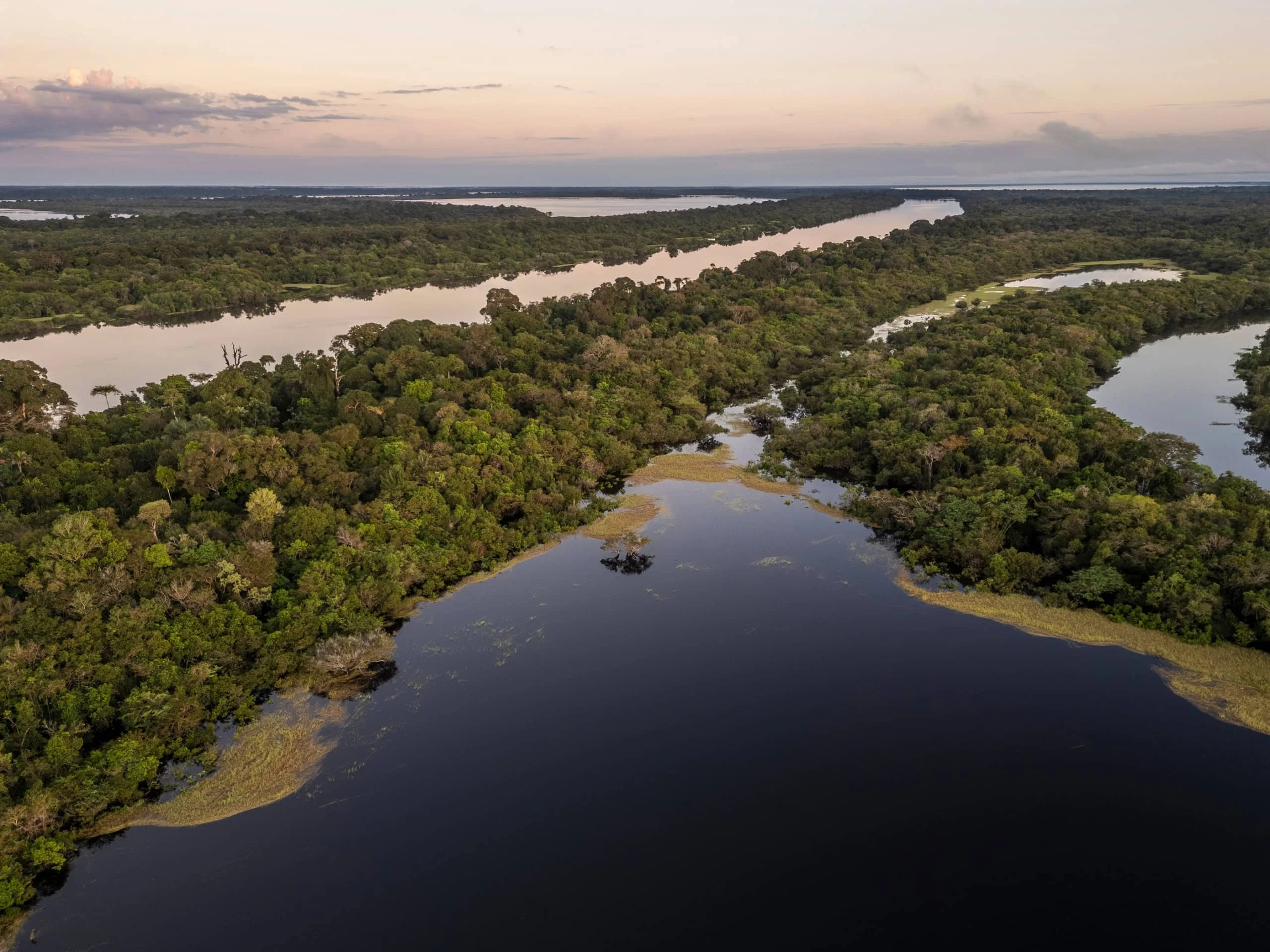 IA para reflorestar a Amazônia: re.green vence Earthshot Prize 2025 do príncipe William e projeta restaurar 1 milhão de hectares até 2032 Empresa brasileira usa IA para reflorestar Amazônia e vence prêmio do príncipe William
