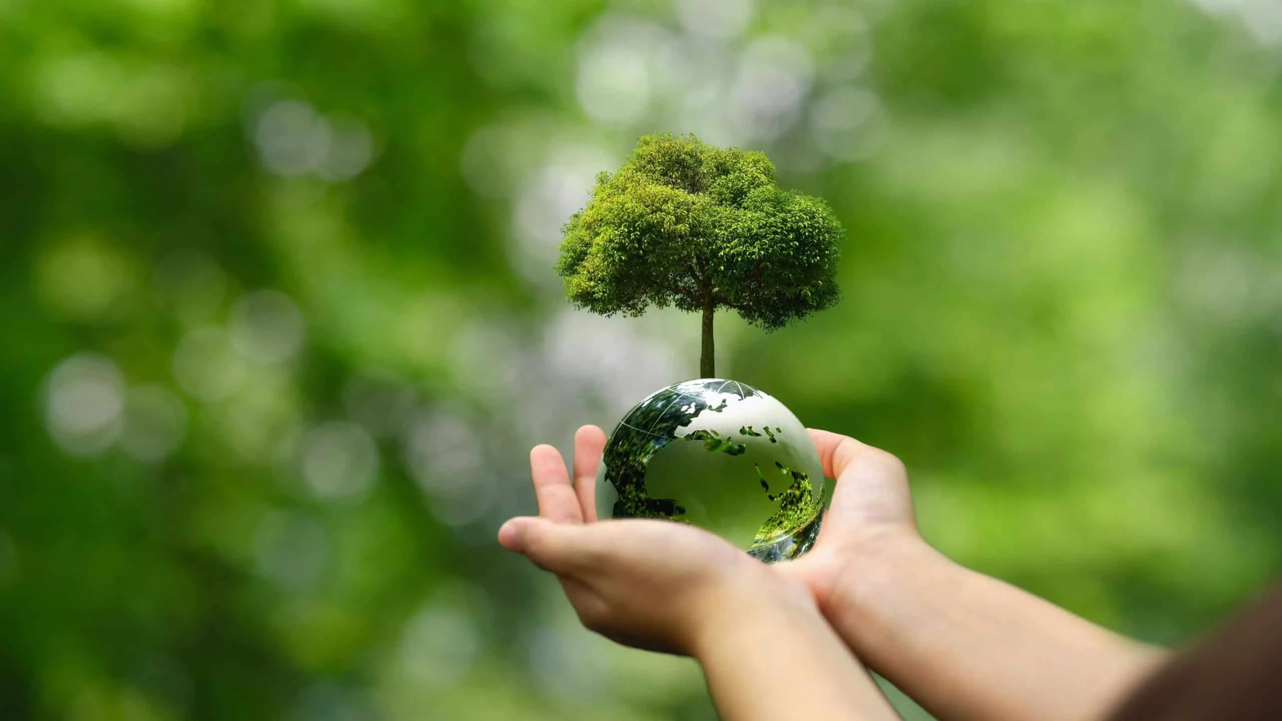 COP30: Brasil lança Plano de Aceleração de Soluções para governança multinível e integra ações climáticas entre países COP30: Brasil lança plano que integra ações climáticas entre países