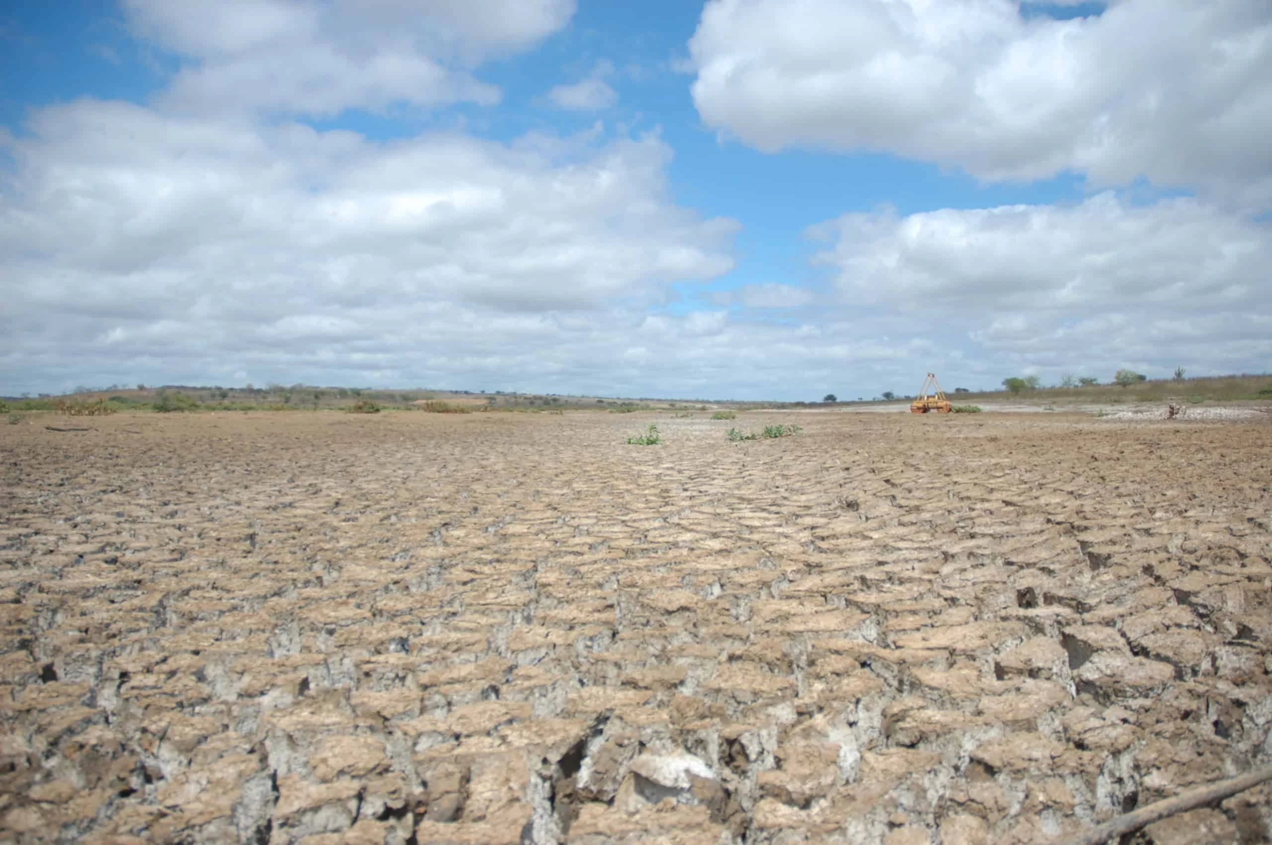 COP30: desertificação no Nordeste até 2100 pode alcançar 99% da região, aponta estudo do CEPAS Alerta na COP30: Nordeste pode ter clima de deserto até 2100