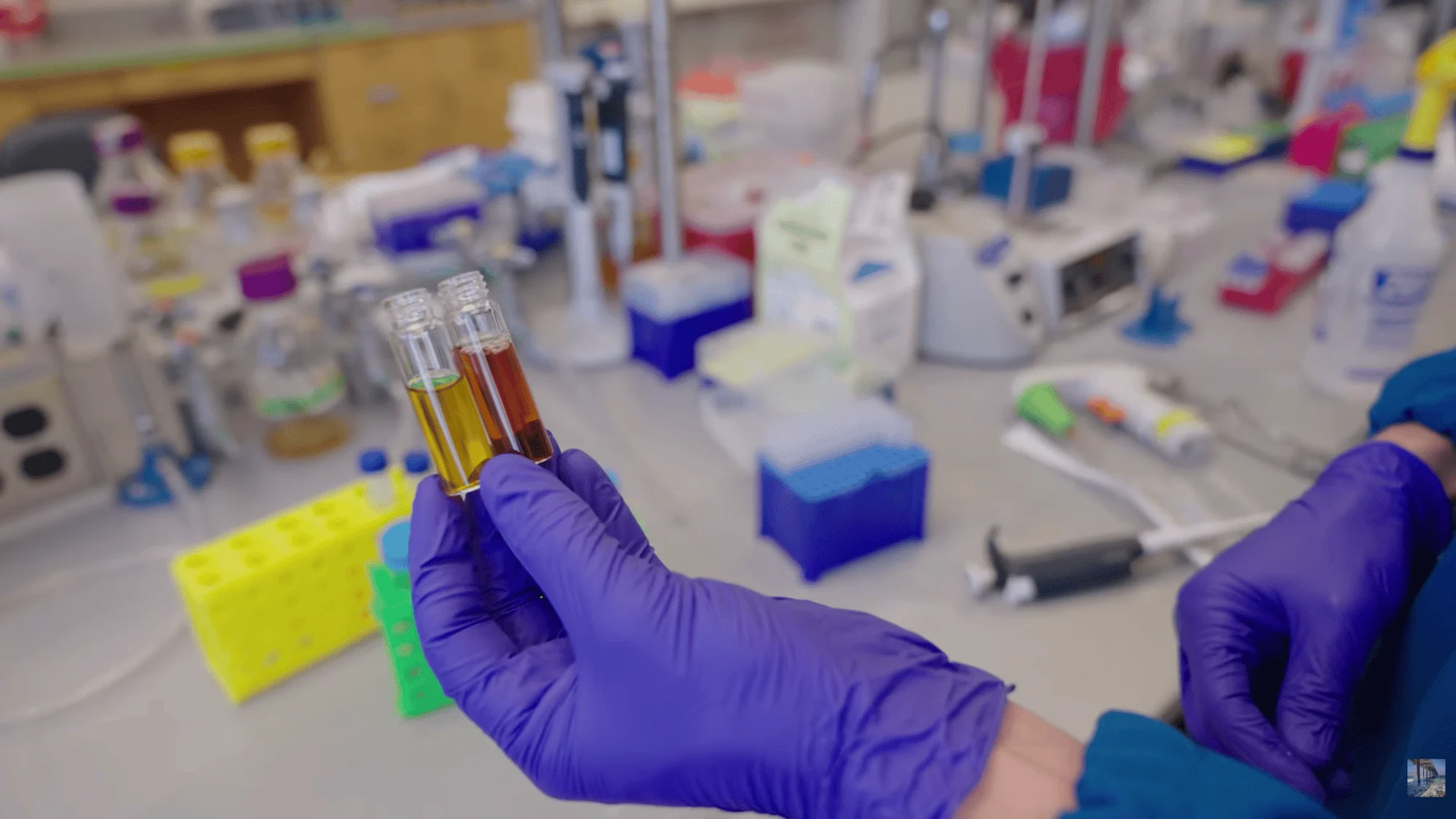 Xantomatina: cientistas criam método em bactérias que amplia em 1.000 vezes o pigmento da camuflagem dos polvos para usos em cosméticos e sensores Cientistas criam pigmento poderoso por trás da camuflagem dos polvos