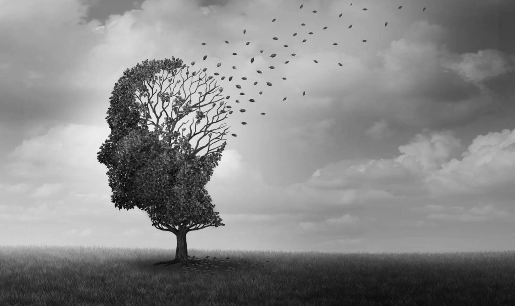 Alzheimer: estudo brasileiro na Nature Neuroscience aponta neuroinflamação e diálogo entre microglia e astrócitos como motor da progressão e novo alvo terapêutico Mistério envolvendo o Alzheimer é resolvido por estudo brasileiro