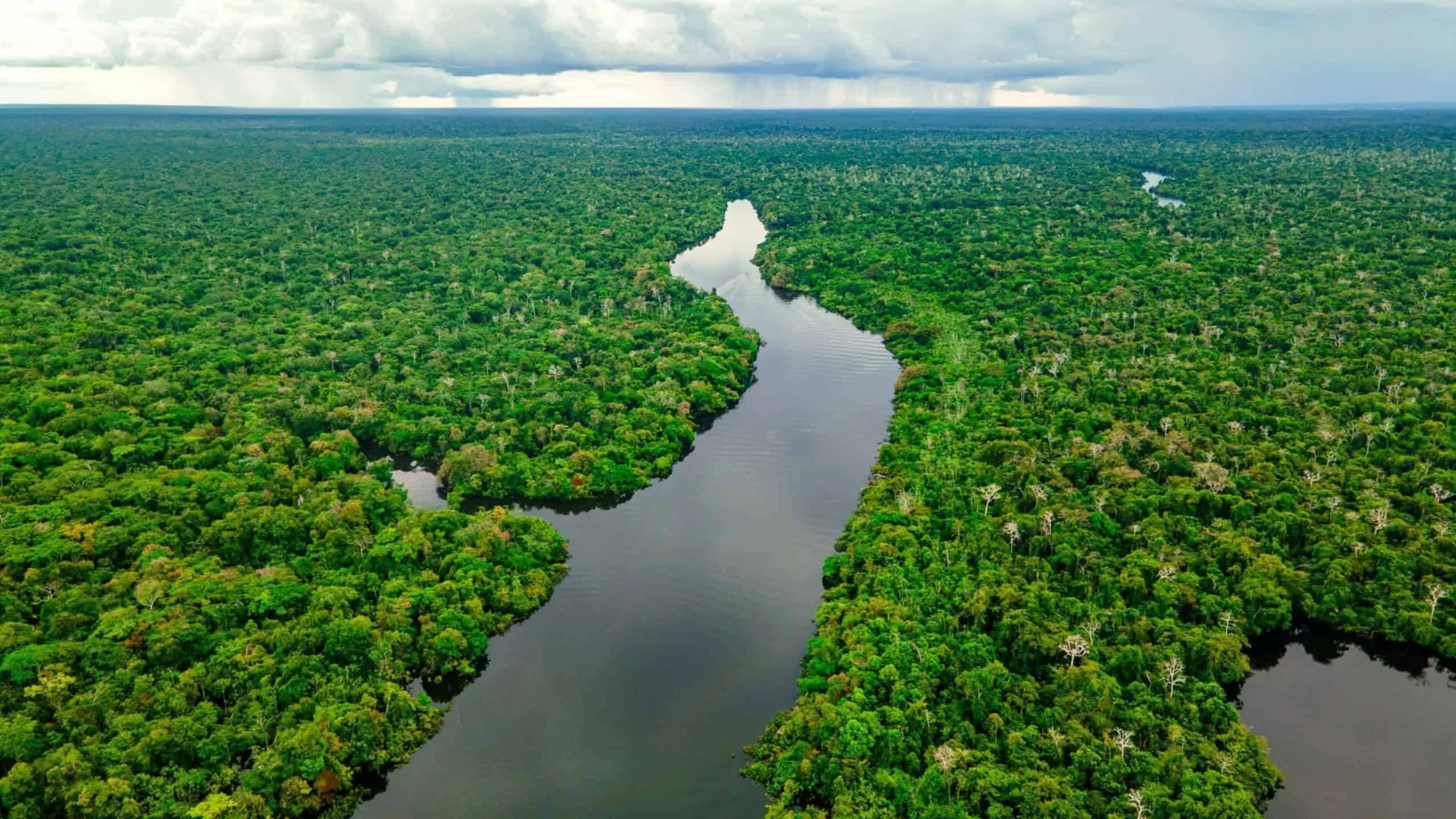 Ocupação da Amazônia por povos antigos: LiDAR revela engenharia de água nos lagos Rogaguado e Ginebra, na Bolívia, com agricultura resiliente entre 600 e 1400 d.C. Ocupação da Amazônia por povos antigos revela lições de sustentabilidade