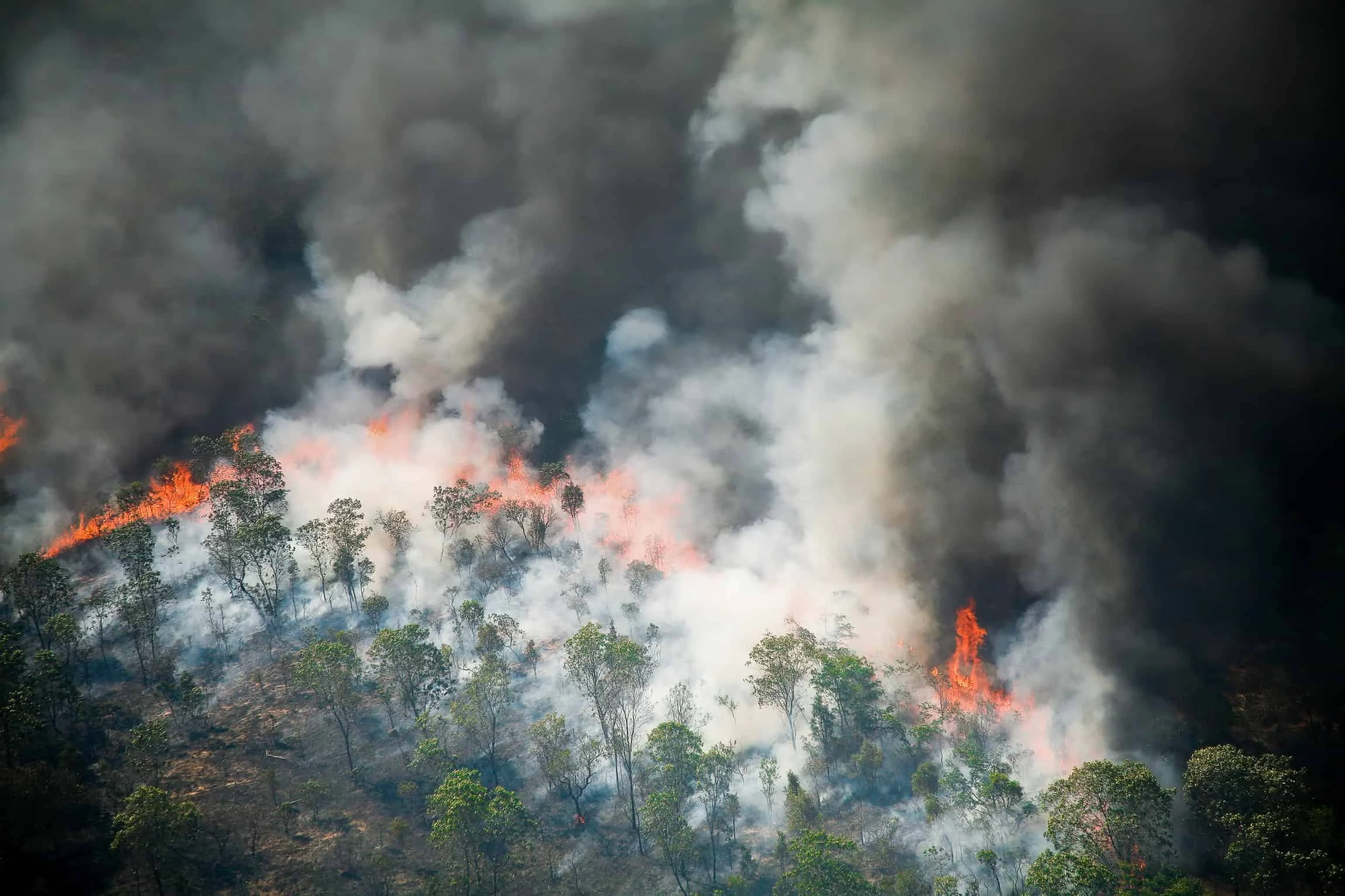 Amazônia enfrenta incêndios e conflitos agrários: por que São Félix do Xingu lidera as queimadas no Pará mesmo com queda no desmatamento Amazônia enfrenta incêndios e conflitos agrários mesmo com queda no desmatamento