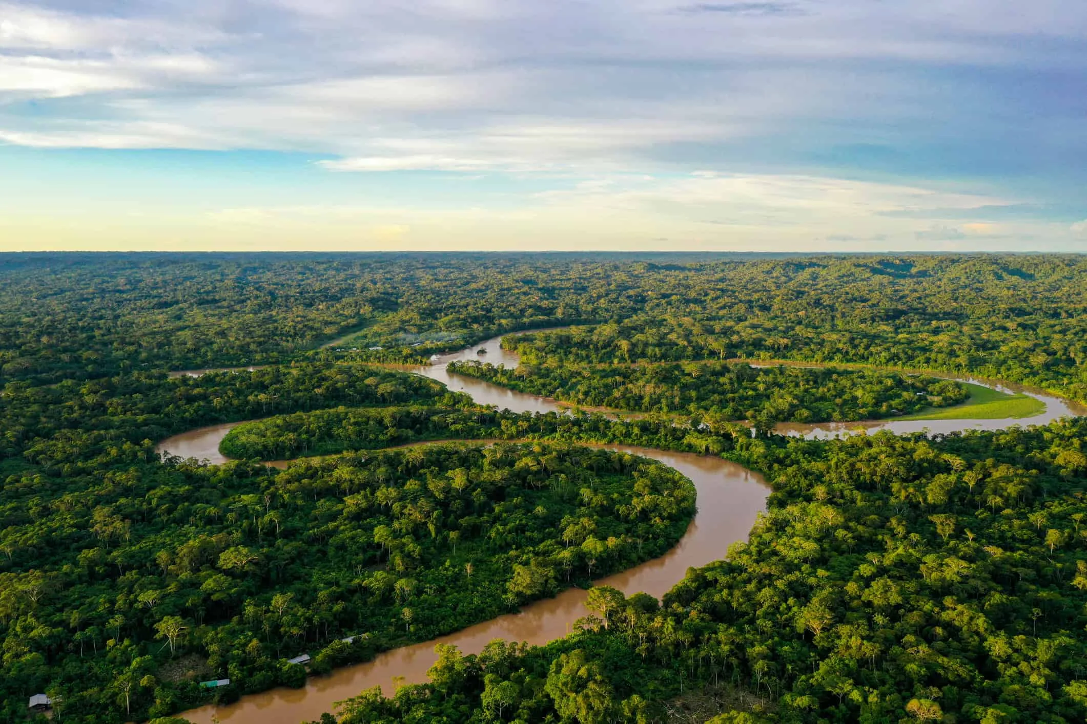 COP30 em Belém: 53 países apoiam o Fundo Florestas Tropicais para Sempre e Brasil diz ter 50% do orçamento de 2026 garantido COP30: 53 países aderiram a fundo florestal do Brasil, que garantiu 50% dos recursos de 2026
